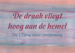 de draag vliegt hoog aan de hemel cover_klein